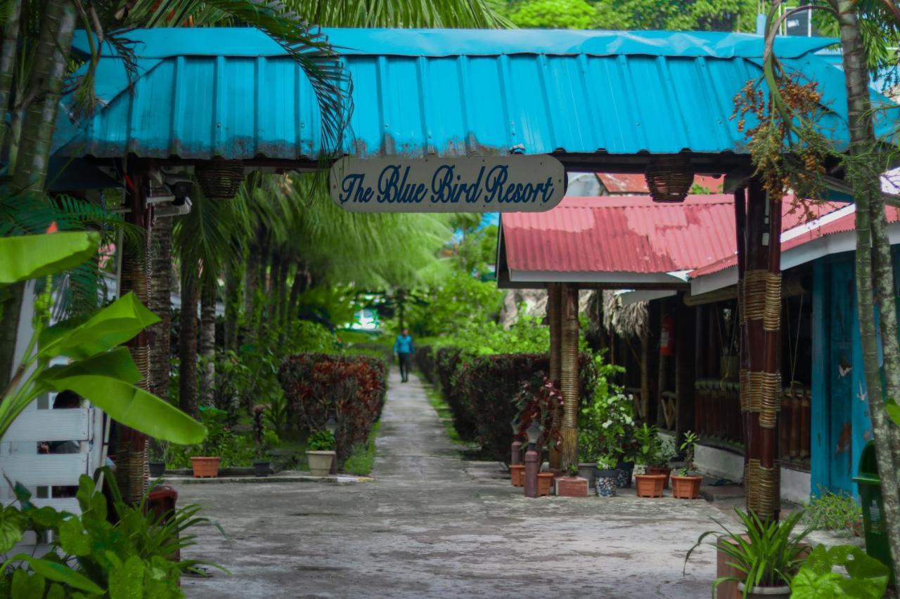 Blue Bird Resort Vijay Nagar Beach Kültér fotó